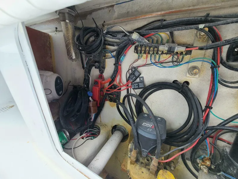 Slide: The Image of Morgan 24 2022 - 5012570