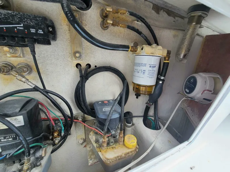 Slide: The Image of Morgan 24 2022 - 5012571