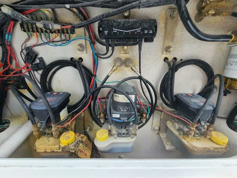 Slide: The Image of Morgan 24 2022 - 5012578