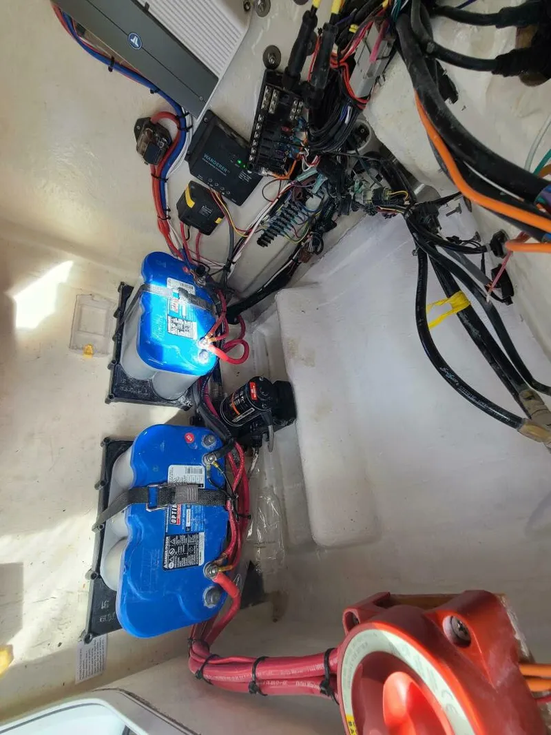 Slide: The Image of Morgan 24 2022 - 5012596