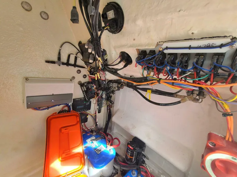 Slide: The Image of Morgan 24 2022 - 5012601