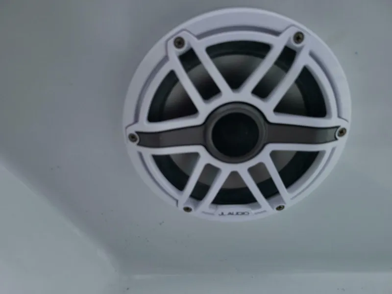 Slide: The Image of Morgan 24 2022 - 5012604