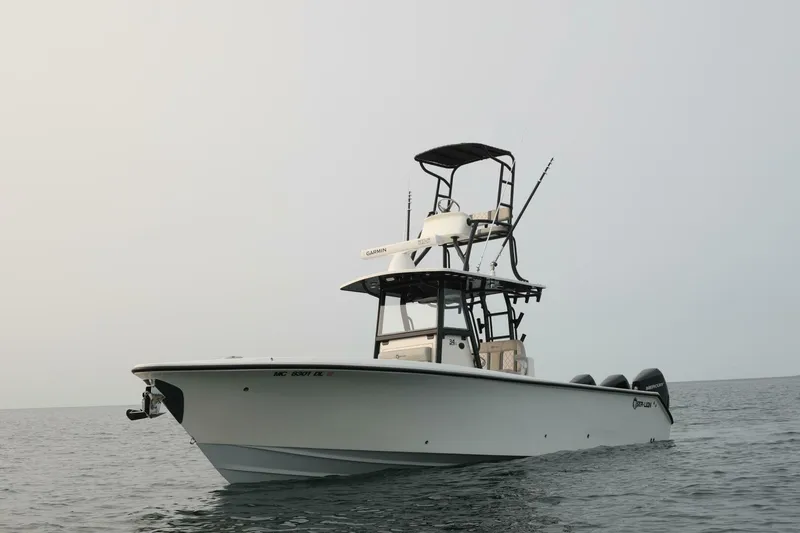 Slide: The Image of Sea-Lion 34 CC 2024 - 5013576