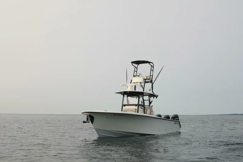 Slide: The Image of Sea-Lion 34 CC 2024 - 5013577