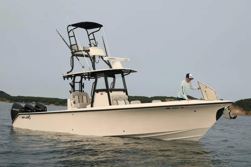 Slide: The Image of Sea-Lion 34 CC 2024 - 5013579