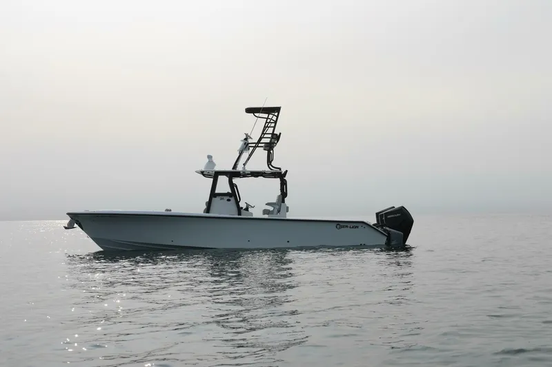 Slide: The Image of Sea-Lion 34 CC 2024 - 5013581