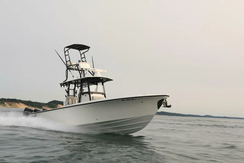 Slide: The Image of Sea-Lion 34 CC 2024 - 5013583