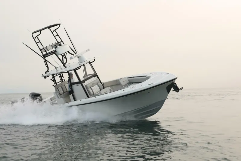 Slide: The Image of Sea-Lion 34 CC 2024 - 5013585