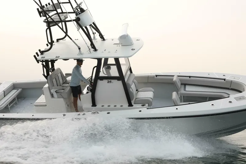 Slide: The Image of Sea-Lion 34 CC 2024 - 5013587