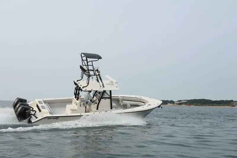 Slide: The Image of Sea-Lion 34 CC 2024 - 5013589