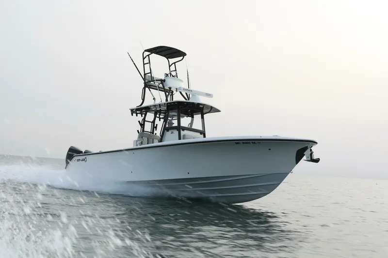 Slide: The Image of Sea-Lion 34 CC 2024 - 5013591