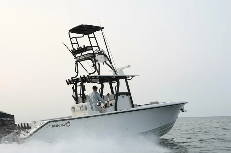 Slide: The Image of Sea-Lion 34 CC 2024 - 5013593