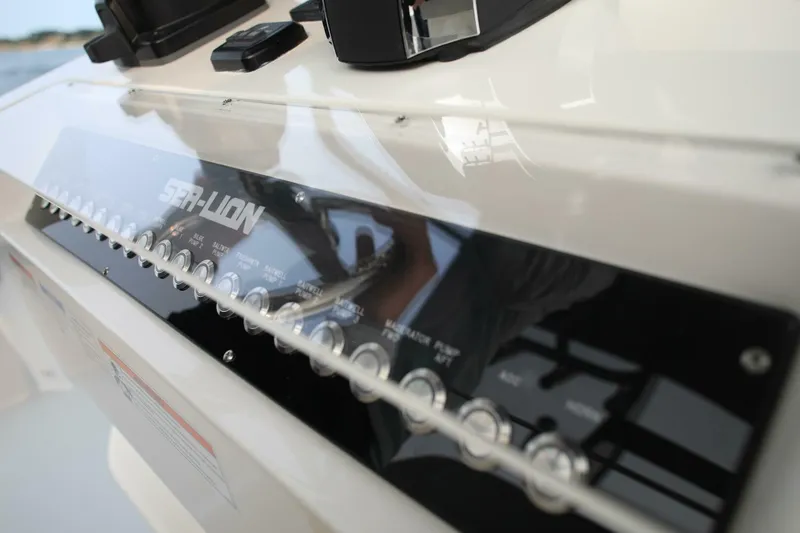 Slide: The Image of Sea-Lion 34 CC 2024 - 5013565