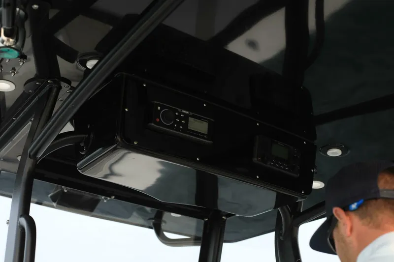 Slide: The Image of Sea-Lion 34 CC 2024 - 5013598