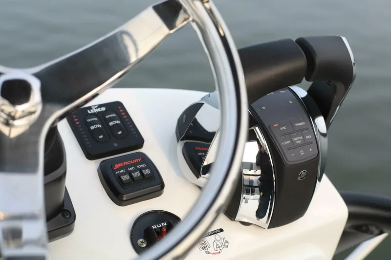 Slide: The Image of Sea-Lion 34 CC 2024 - 5013600