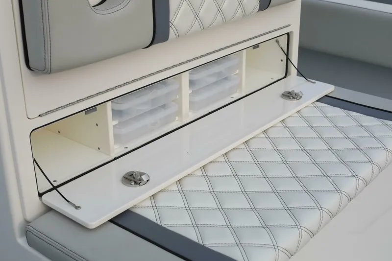 Slide: The Image of Sea-Lion 34 CC 2024 - 5013602