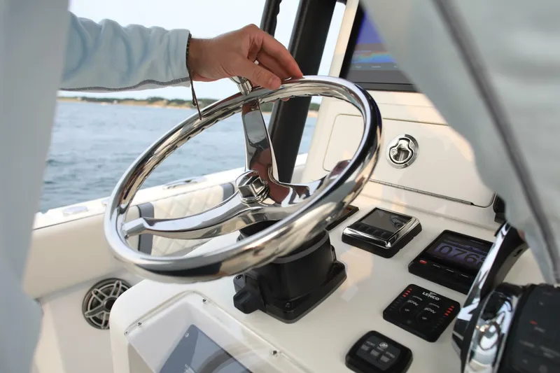 Slide: The Image of Sea-Lion 34 CC 2024 - 5013604