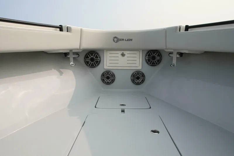 Slide: The Image of Sea-Lion 34 CC 2024 - 5013606