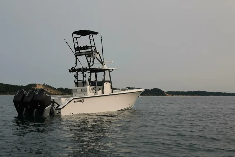 Slide: The Image of Sea-Lion 34 CC 2024 - 5013608