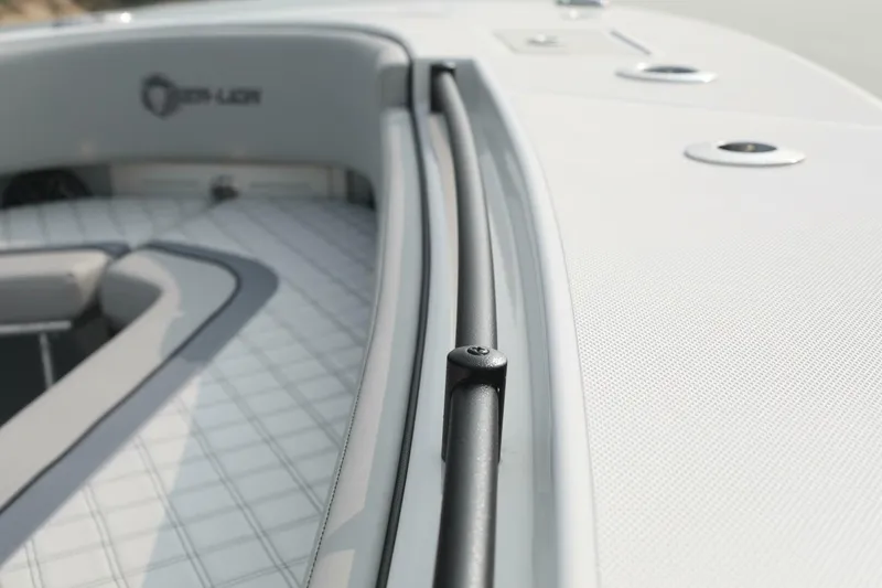 Slide: The Image of Sea-Lion 34 CC 2024 - 5013567