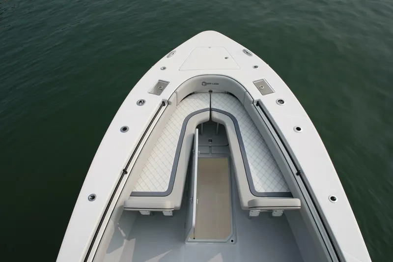 Slide: The Image of Sea-Lion 34 CC 2024 - 5013568