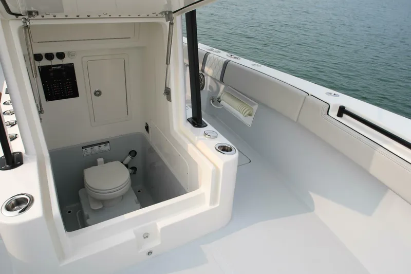 Slide: The Image of Sea-Lion 34 CC 2024 - 5013570