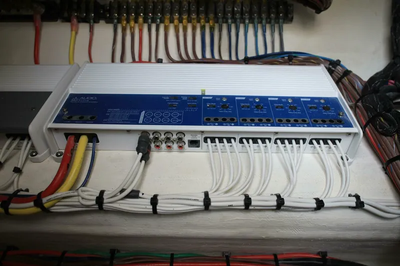 Slide: The Image of Sea-Lion 34 CC 2024 - 5013572