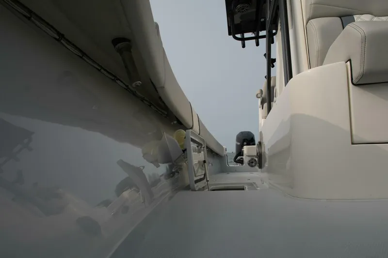 Slide: The Image of Sea-Lion 34 CC 2024 - 5013574