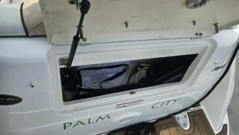 Slide: The Image of Sea Ray 240 Sundancer 2008 - 5004985