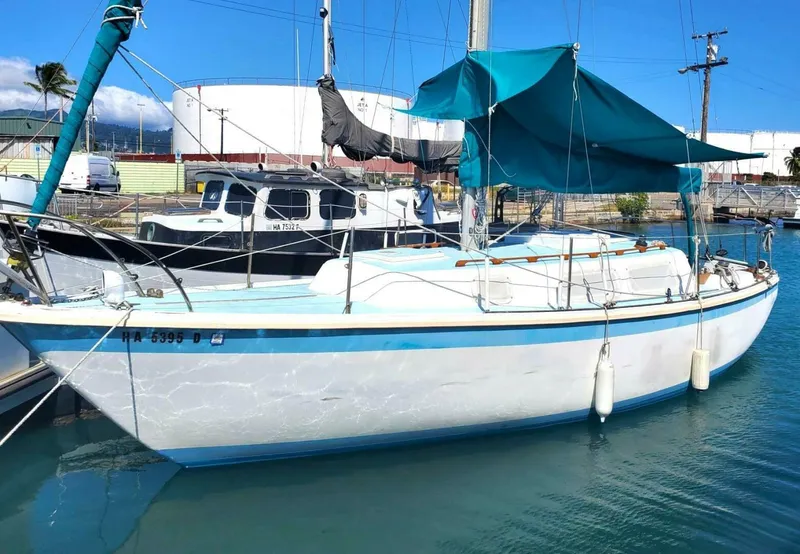 The Image of CAL 2-30 1969 - 5005002