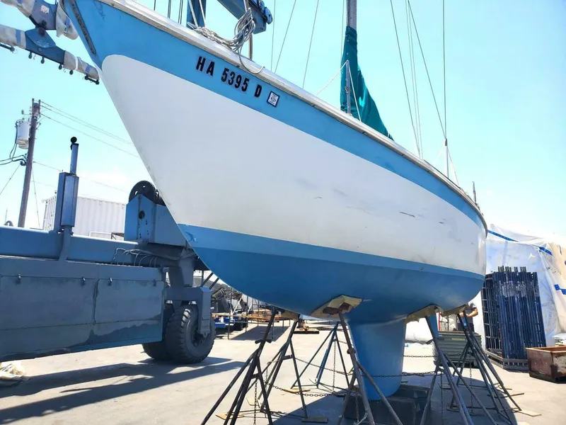 Slide: The Image of CAL 2-30 1969 - 5005013