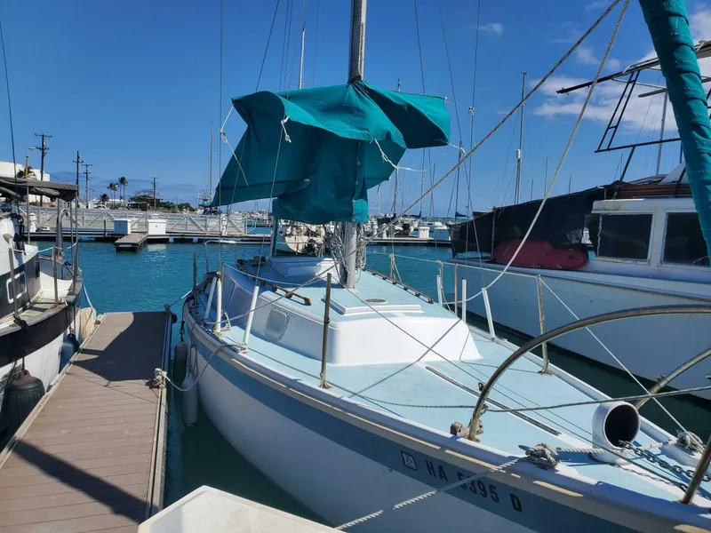 Slide: The Image of CAL 2-30 1969 - 5005005