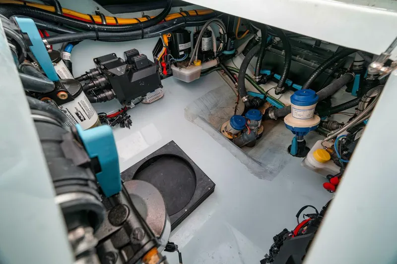 Slide: The Image of Front Runner 36 2024 - 5009894