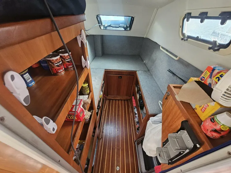 Slide: The Image of PDQ 36 2000 - 5020028