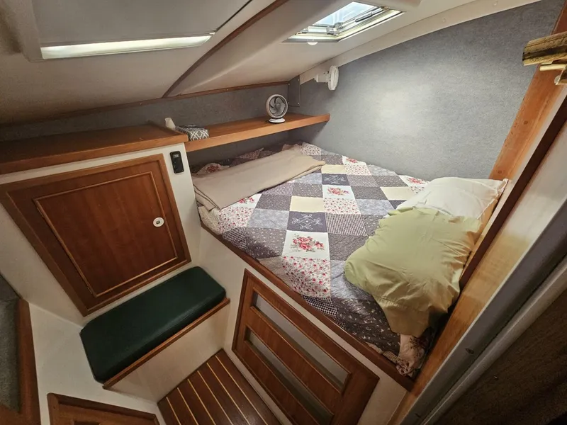 Slide: The Image of PDQ 36 2000 - 5020027