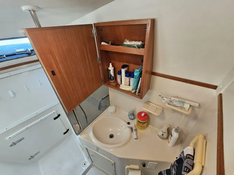 Slide: The Image of PDQ 36 2000 - 5020025