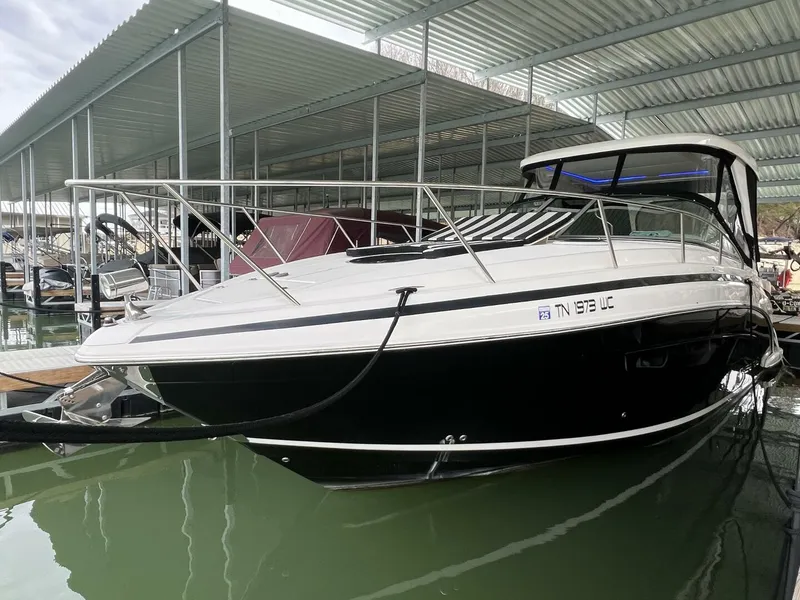 The Image of Regal 33 2019 - 5010697