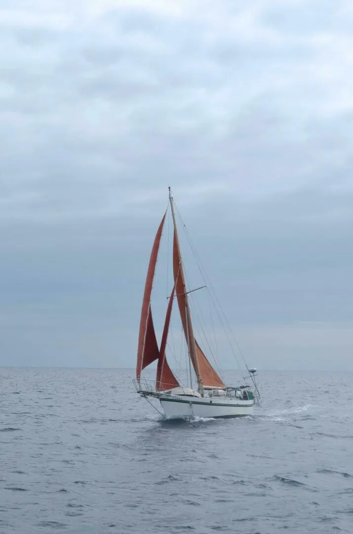 Slide: The Image of Custom Tahiti Rover Steel Auxiliary Cutter 1982 - 5011317