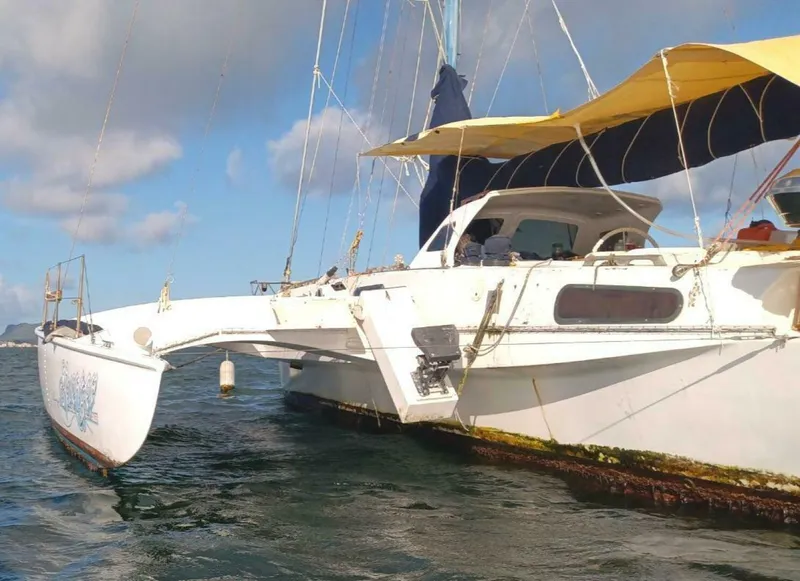 Slide: The Image of Other John Marples Custom Constant Camber Cruising 1988 - 5013839