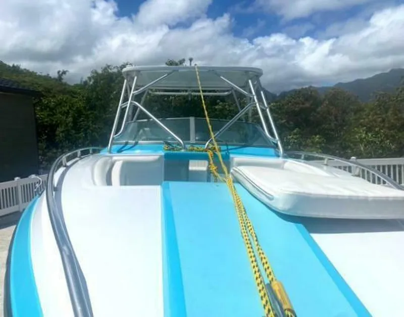 Slide: The Image of Chaparral 2-46 1989 - 5013854