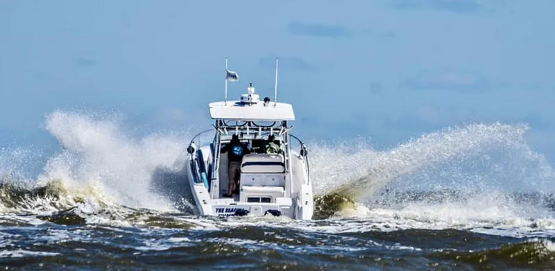 Slide: The Image of Pro-Line 30 WALK 2003 - 5015810