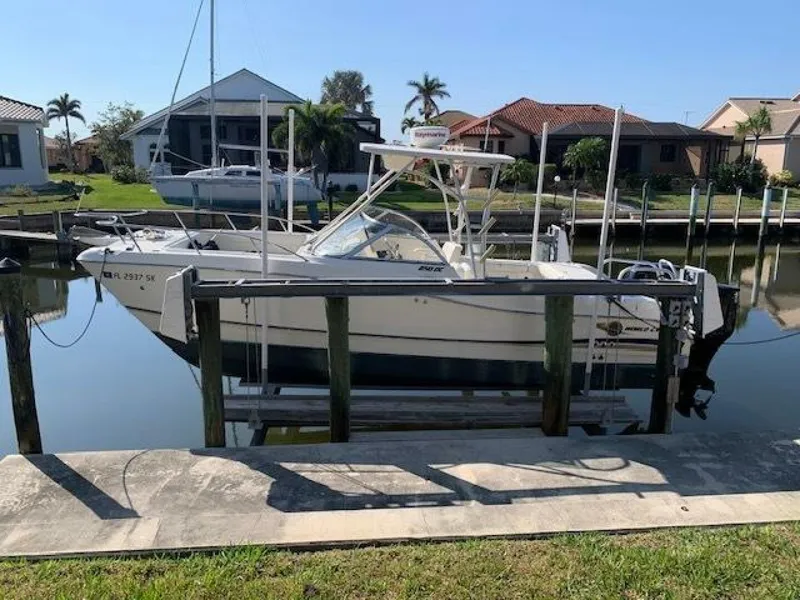 The Image of World Cat 25 2007 - 5016648