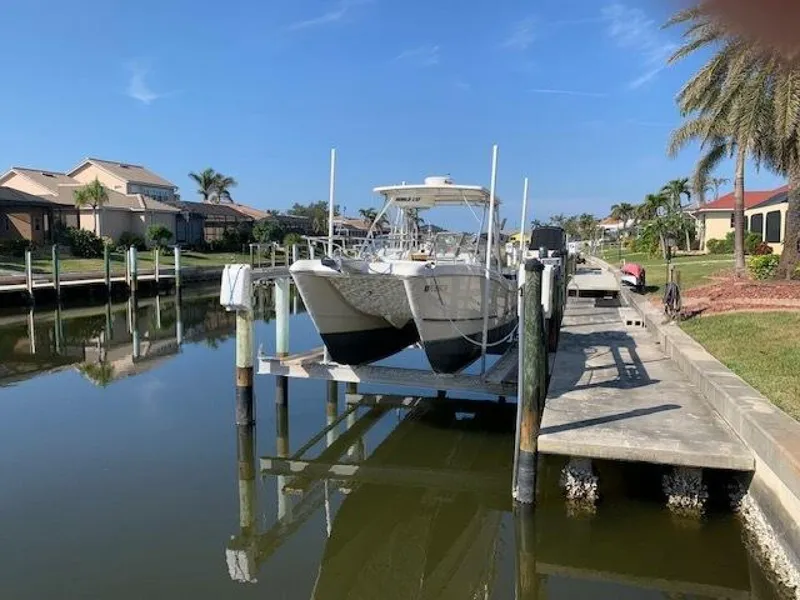 Slide: The Image of World Cat 25 2007 - 5016646