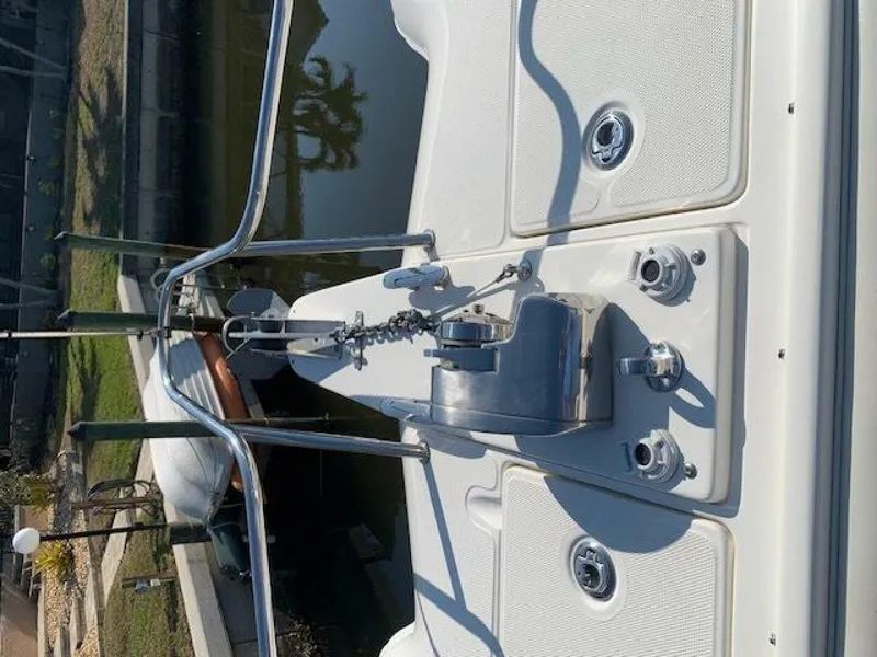 Slide: The Image of World Cat 25 2007 - 5016644