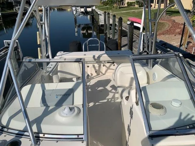 Slide: The Image of World Cat 25 2007 - 5016645