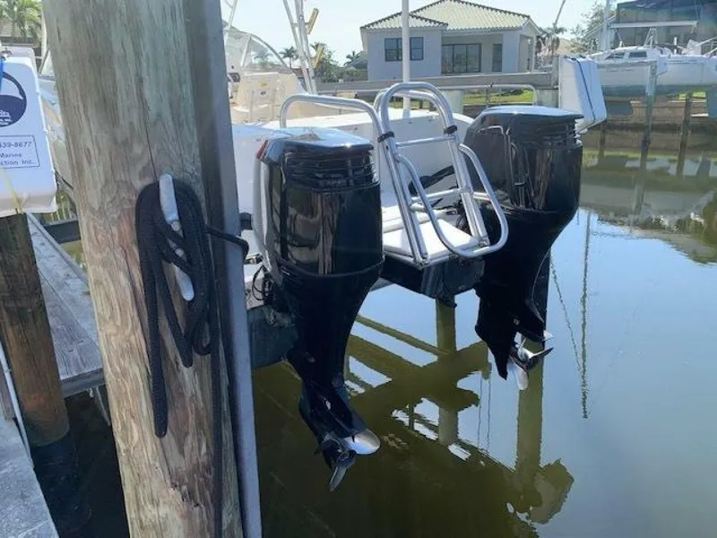 Slide: The Image of World Cat 25 2007 - 5016647