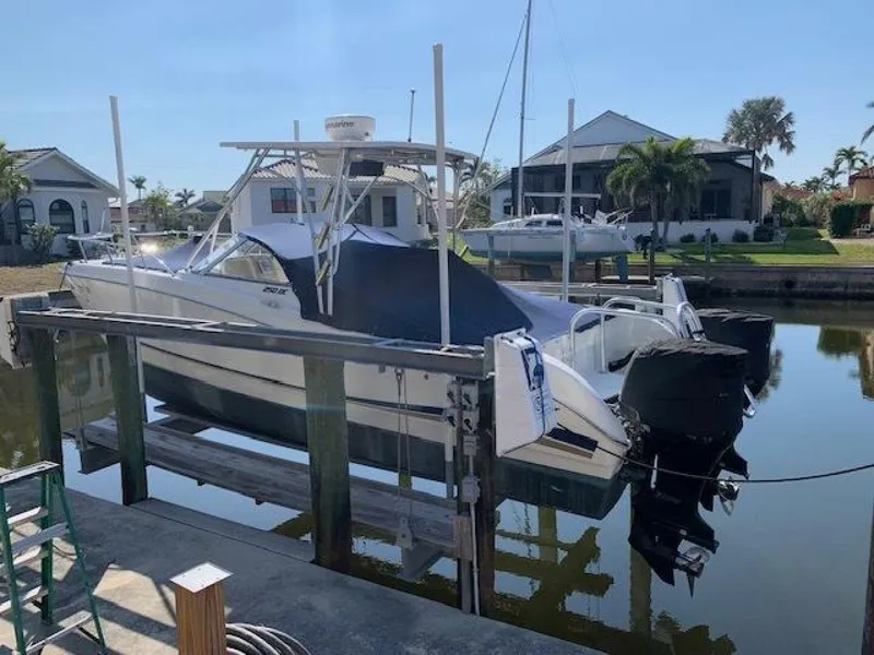 Slide: The Image of World Cat 25 2007 - 5016649