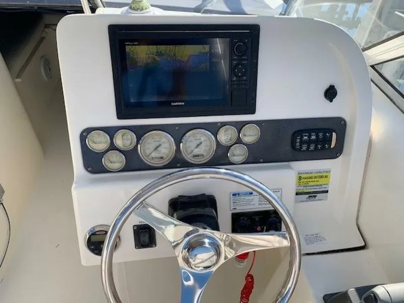 Slide: The Image of World Cat 25 2007 - 5016635