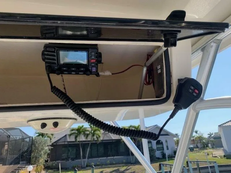 Slide: The Image of World Cat 25 2007 - 5016636