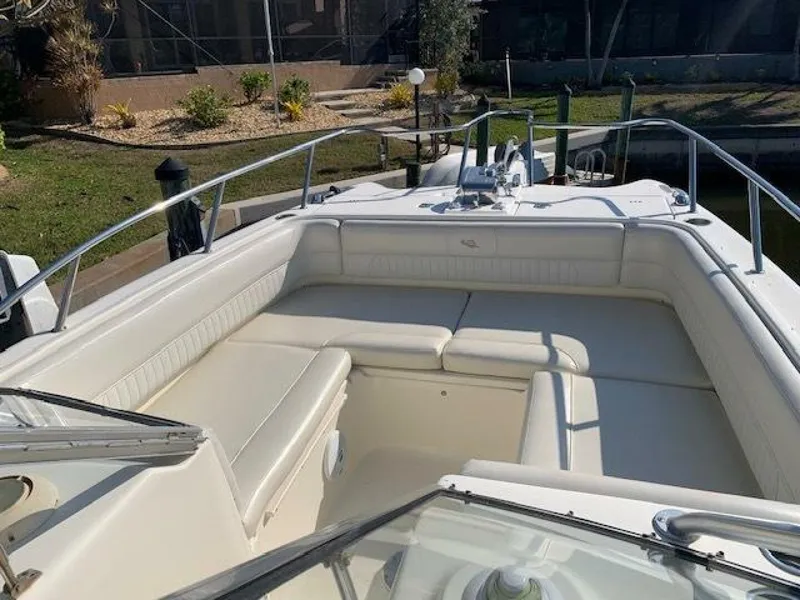 Slide: The Image of World Cat 25 2007 - 5016637